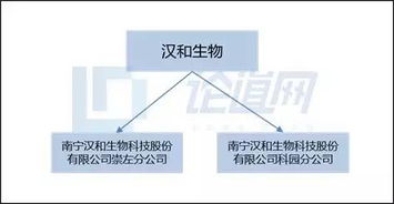 漢和生物 以生物技術(shù)創(chuàng)新驅(qū)動(dòng)水溶肥料市場(chǎng)新藍(lán)海