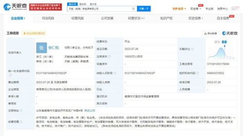 泰豪科技再拓疆域 投資設立新公司，聚焦信息系統集成服務